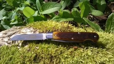 WP_20170414_007.jpg
