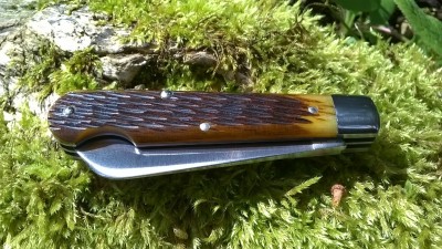 WP_20170414_011.jpg
