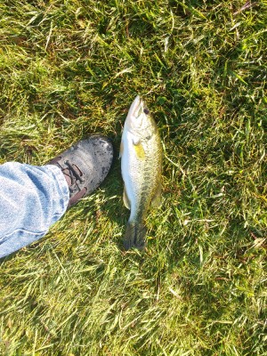 IMG_20170414_084950526.jpg