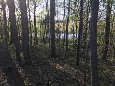 IMG_0234.JPG