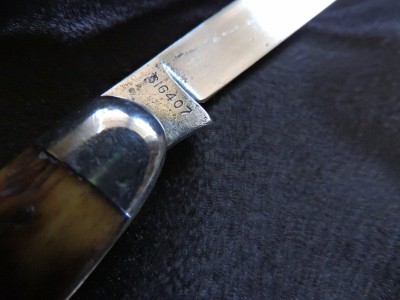 DSCN6116.JPG