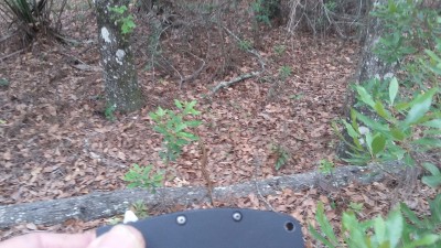 20170422_120903.jpg