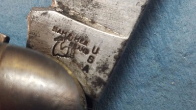 20170423_070325.jpg