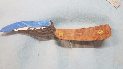 20170423_080640.jpg