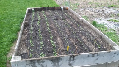 20170425_191811.jpg