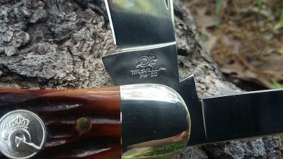 20170425_160213.jpg