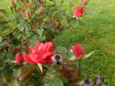 P1010733.JPG