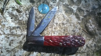 WP_20170427_016.jpg