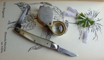 Unmarked knife