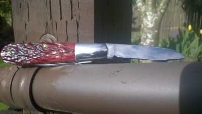 WP_20170428_007.jpg