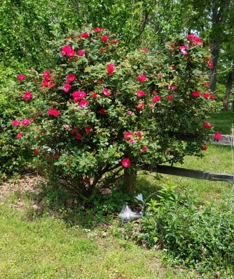 20170429_115537.jpg