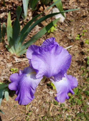 20170429_115425.jpg