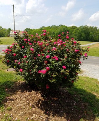 20170429_115323.jpg