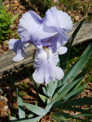 20170429_115353.jpg