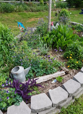 20170429_115921.jpg