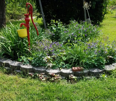 20170429_115740.jpg