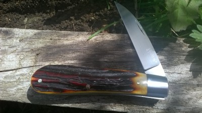 WP_20170428_012.jpg