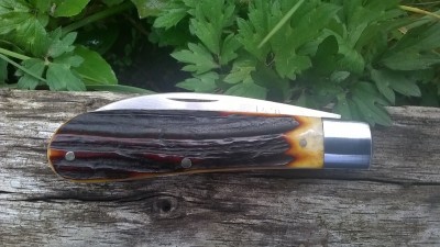 WP_20170428_020.jpg