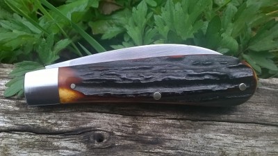 WP_20170428_018.jpg