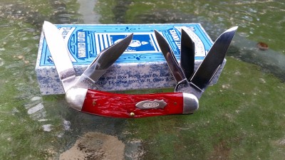 20170430_180234.jpg