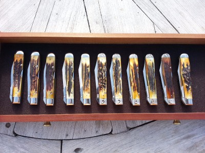 All stags Cheetahs_Razors Edge and Blue Scroll_pile side.jpg