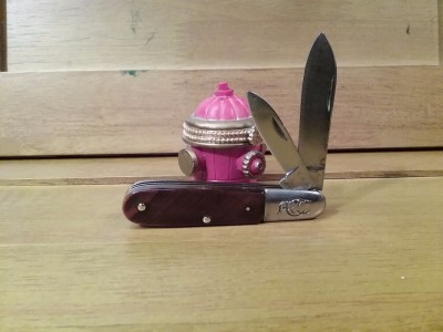 20170430_172510.jpg
