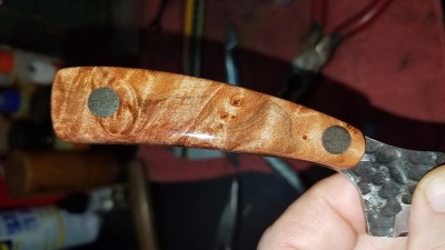 20170502_054335.jpg