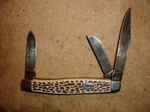 Stag Ireland.2.JPG
