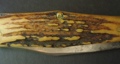CaseKnife6x.jpg