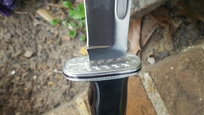buck 119 5.jpg