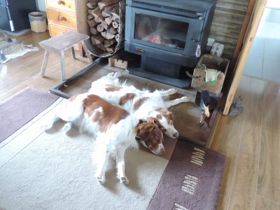 DSCN5888.JPG
