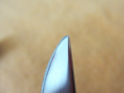 IMG_1252.JPG