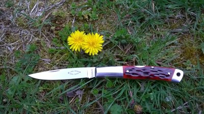 WP_20170417_031.jpg