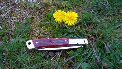 WP_20170417_037.jpg