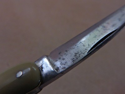 DSCN6393.JPG