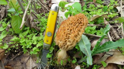20170509_142104.jpg