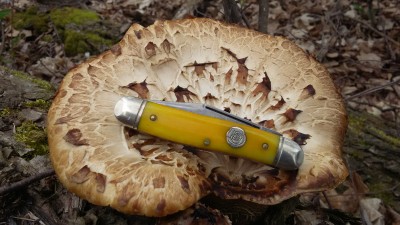 20170509_135635.jpg