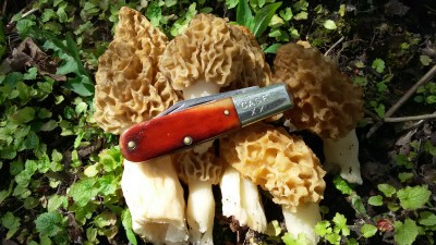 20170511_110759.jpg