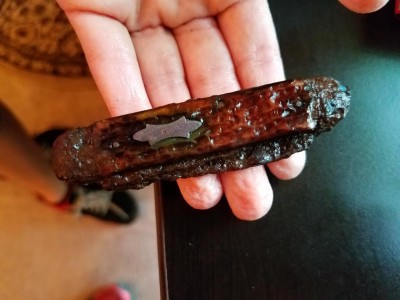 Pocket Knife.jpg