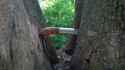WP_20170509_017.jpg