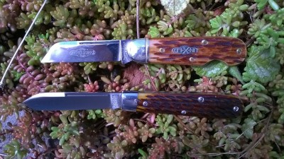WP_20170513_010.jpg