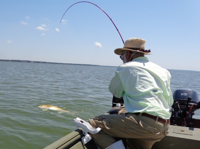Redfish2.jpg