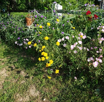 20170518_083805.jpg