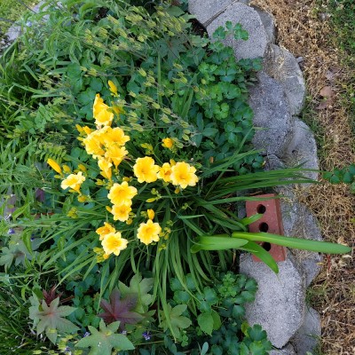 20170511_183357.jpg