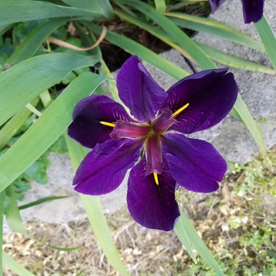 20170511_183416.jpg