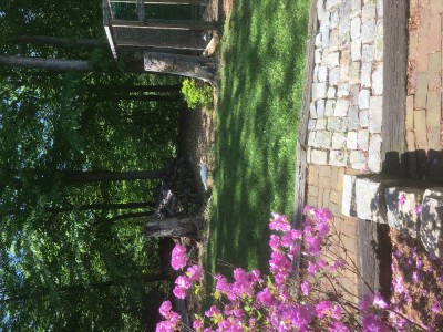 2017-05-10 14.15.19.jpg