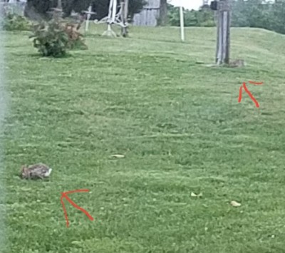 20170519_083408.jpg