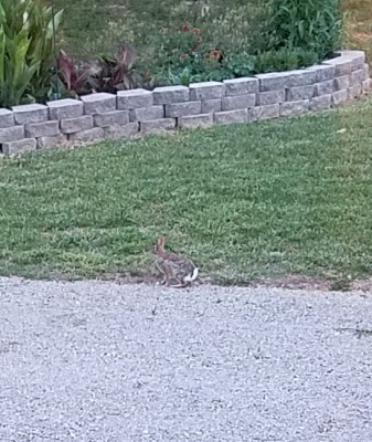 20170519_083607.jpg