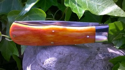 WP_20170519_039.jpg