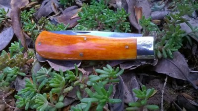 WP_20170519_027.jpg